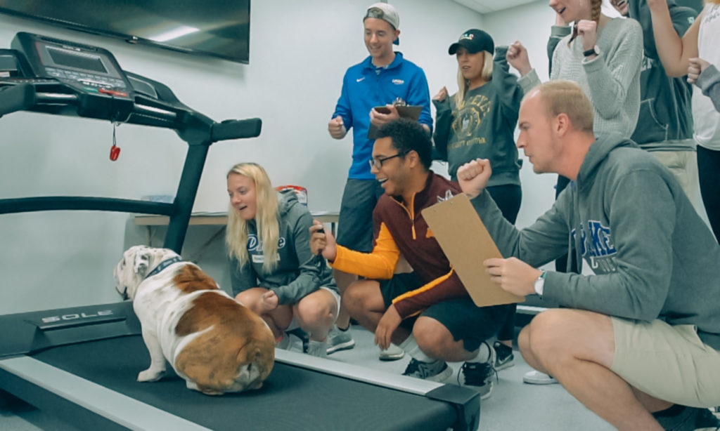 How does your blood adapt to high altitudes? Exercise Physiology